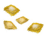 agnolotti_group agnolotti_group